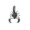 Black Diamond Scorpion Pendant Zircon