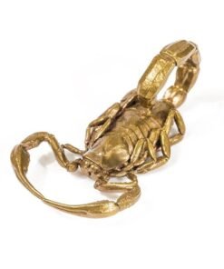 Gold Scorpion Pendant Necklace Bronze