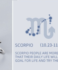 Scorpio Constellation Earrings Astrologie