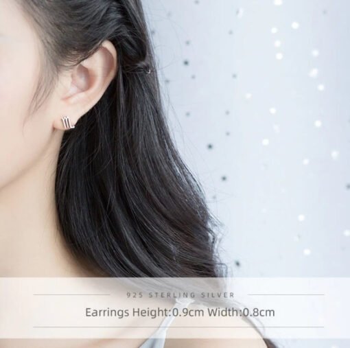 Scorpio Zodiac Earrings Ear Silver Women