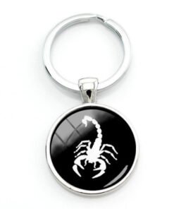 Scorpion Keyholder