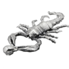Scorpion Pendant Jewelry scorpions store_