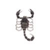 Brooch Scorpion