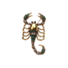 Scorpion Brooch